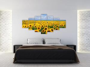 Obraz - slnečnica (Obraz 210x100cm)