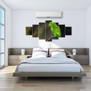 Obraz zeleného papagája (Obraz 210x100cm)