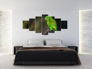 Obraz zeleného papagája (Obraz 210x100cm)