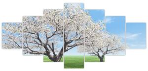 Obraz kvitnúceho stromu na jarné lúke (Obraz 210x100cm)