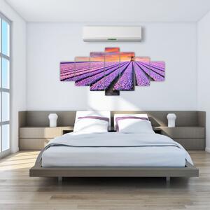 Obraz levanduľové polia (Obraz 210x100cm)
