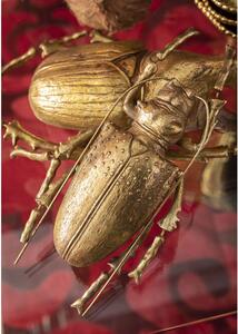 Longicorn Beetle nástenná dekorácia zlatá
