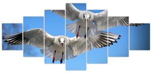 Obraz do bytu - vtáky (Obraz 210x100cm)