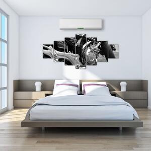 Obraz - motorka (Obraz 210x100cm)