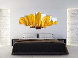 Obraz kvetu slnečnice (Obraz 210x100cm)