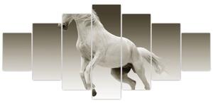 Obrazy bieleho koňa (Obraz 210x100cm)