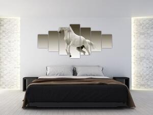 Obrazy bieleho koňa (Obraz 210x100cm)