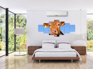 Obraz kravy (Obraz 210x100cm)