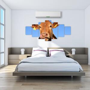 Obraz kravy (Obraz 210x100cm)