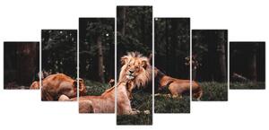 Obrazy - levy v lese (Obraz 210x100cm)