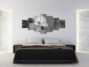 Čiernobiely obraz (Obraz 210x100cm)