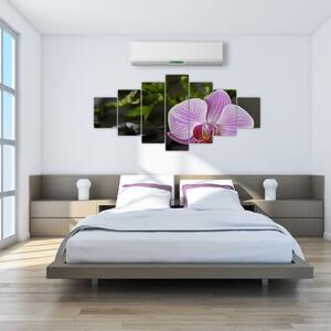 Moderný obraz kvetu (Obraz 210x100cm)