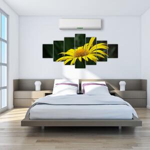 Obraz žltého kvetu (Obraz 210x100cm)