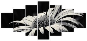 Čiernobiely obraz kvetu (Obraz 210x100cm)