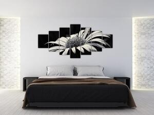 Čiernobiely obraz kvetu (Obraz 210x100cm)
