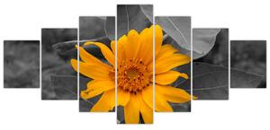Obraz oranžového kvetu (Obraz 210x100cm)