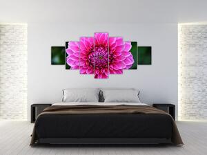 Obraz ružového kvetu (Obraz 210x100cm)