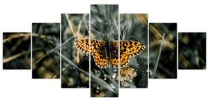 Obraz motýľa (Obraz 210x100cm)