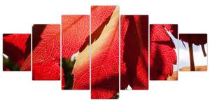 Obraz červených listov (Obraz 210x100cm)