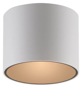 Stropné Lampa PURE, Point, stmievateľné, Biela, Kúpeľňa, Kov, Moderný