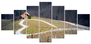 Cesta vo vinici v tvare srdca (Obraz 210x100cm)