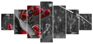 Červené kvety - moderné obrazy (Obraz 210x100cm)
