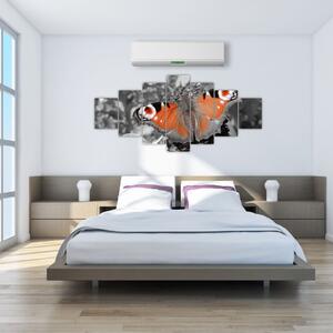 Oranžový motýľ - obraz (Obraz 210x100cm)