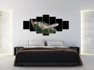 Obraz plávajúce korytnačky (Obraz 210x100cm)