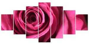 Obraz ružové ruže (Obraz 210x100cm)