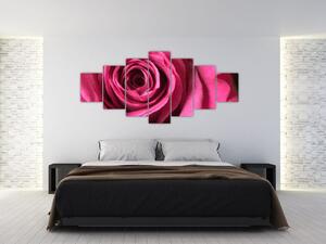 Obraz ružové ruže (Obraz 210x100cm)