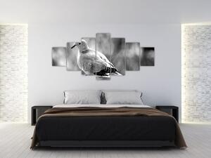 Čiernobiely obraz vtáka (Obraz 210x100cm)