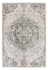 Sivo-krémový koberec 160x230 cm Nova – Asiatic Carpets