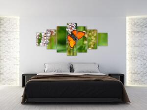 Moderný obraz motýľa na lúke (Obraz 210x100cm)