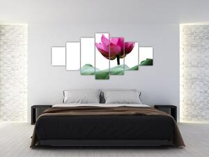 Obraz kvetu (Obraz 210x100cm)