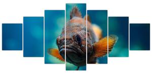 Obraz - ryba (Obraz 210x100cm)