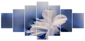 Obraz bieleho kvetu vo vode (Obraz 210x100cm)