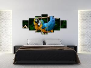 Obraz papagájov na lane (Obraz 210x100cm)