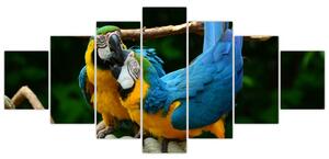 Obraz papagájov na lane (Obraz 210x100cm)