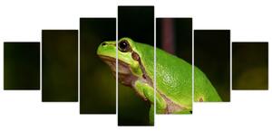 Obraz žaby (Obraz 210x100cm)