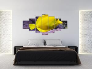 Obraz - žlté ryby (Obraz 210x100cm)