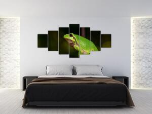 Obraz žaby (Obraz 210x100cm)