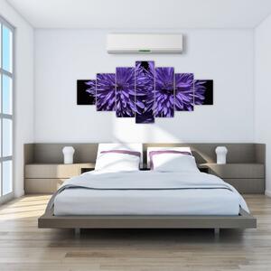 Obraz fialových kvetov (Obraz 210x100cm)