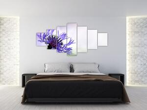 Obraz fialového kvetu (Obraz 210x100cm)