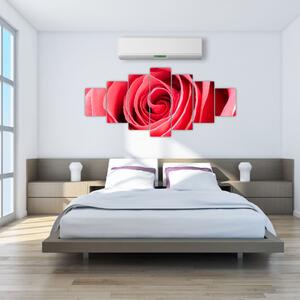 Obraz červené ruže (Obraz 210x100cm)