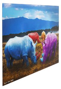 Rhino Colore obraz viacfarebný 120x80 cm