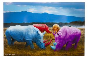 Rhino Colore obraz viacfarebný 120x80 cm