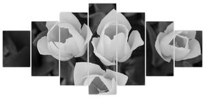 Čiernobiele kvety (Obraz 210x100cm)