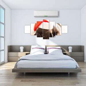 Obraz psa s čiapkou (Obraz 210x100cm)