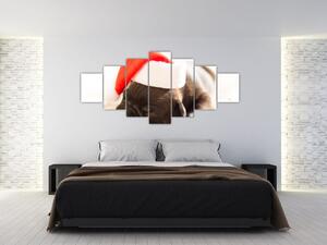 Obraz psa s čiapkou (Obraz 210x100cm)