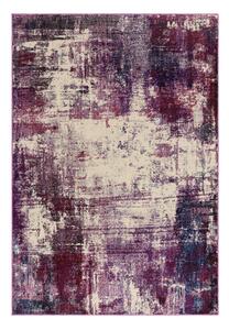 Fialový koberec 120x170 cm Colores cloud – Asiatic Carpets